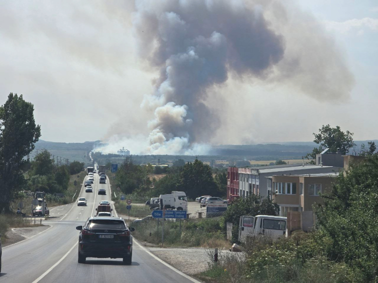 Пожари затвориха отново участък от АМ "Хемус" край Варна