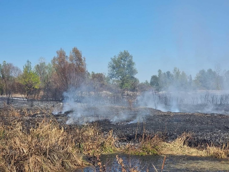 Плевенска община планира запръстяване на тлеещите огнища край Ясен