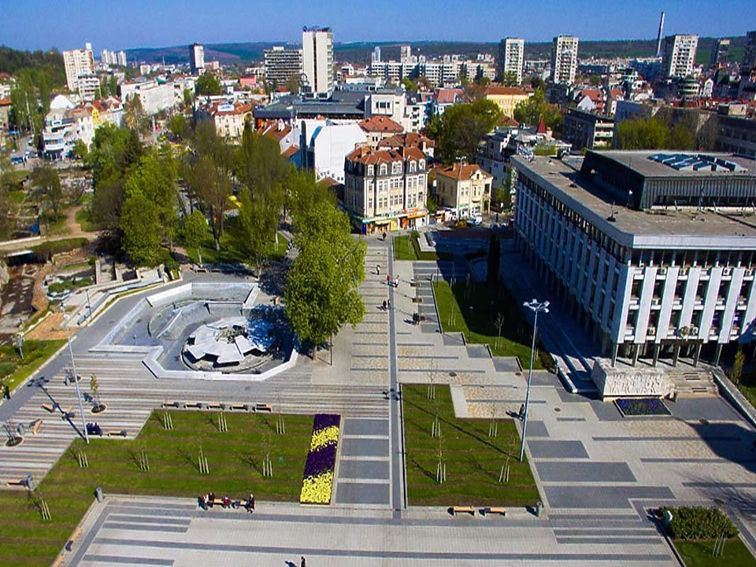 Плевен създава комисия за зооинспектор и нови правила за отглеждане на кучета