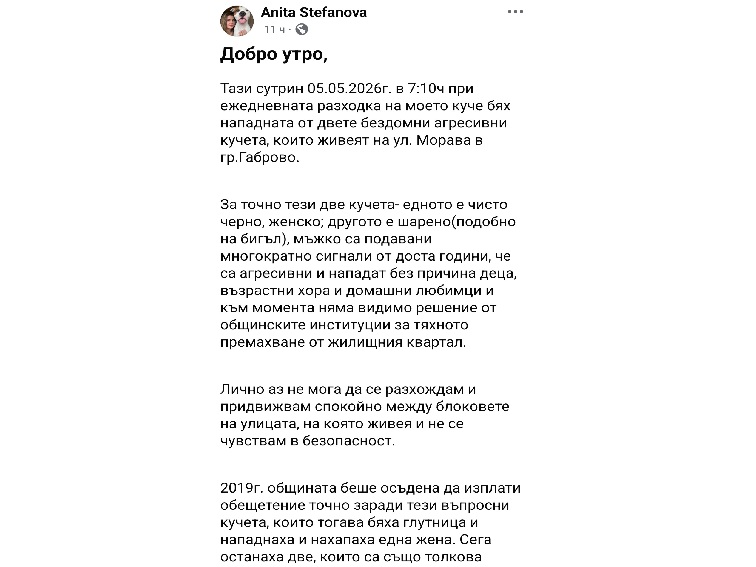 КОГА ИНСТИТУЦИИТЕ ЩЕ НАДДЕЛЕЯТ НАД ДВЕ БЕЗДОМНИ КУЧЕТА?
