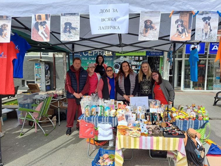 Жестоки сигнали за изхвърлени кученца и човешка безотговорност