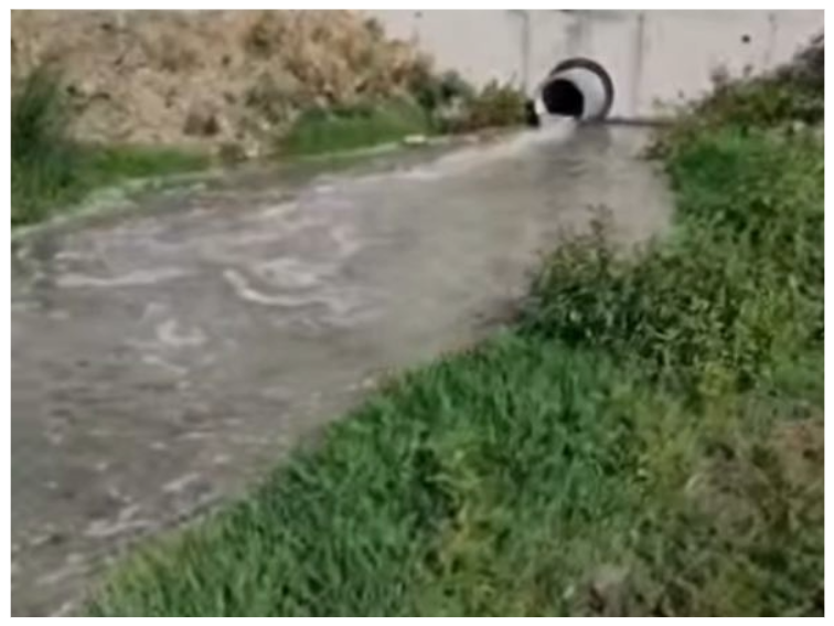 Отходните води на пречиствателната станция на Карлово замърсени