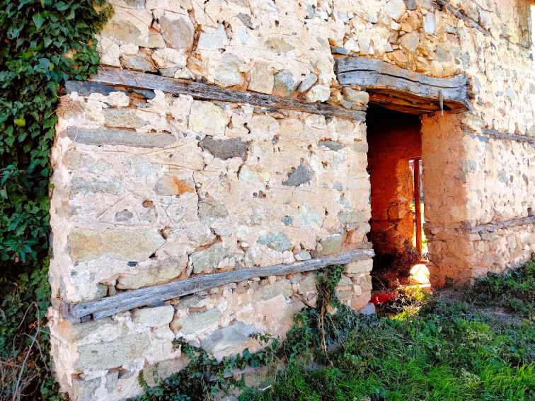 Виноградец – мястото, откъдето започват отговорите за бъдещето на България