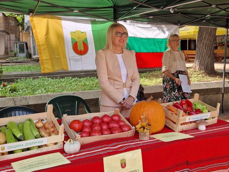 Производители и занаятчии от община Добричка ще представят своите продукти на изложение
