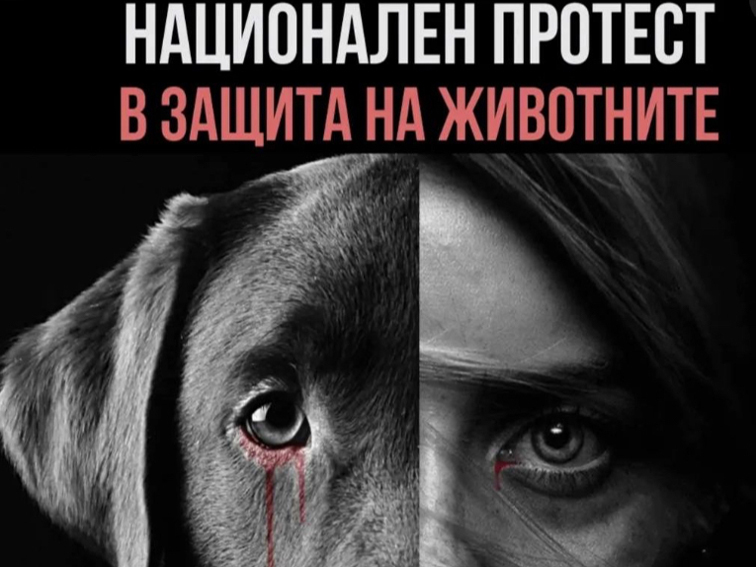 Бъди гласът на тези, които не могат да говорят – Национален протест в защита на животните!