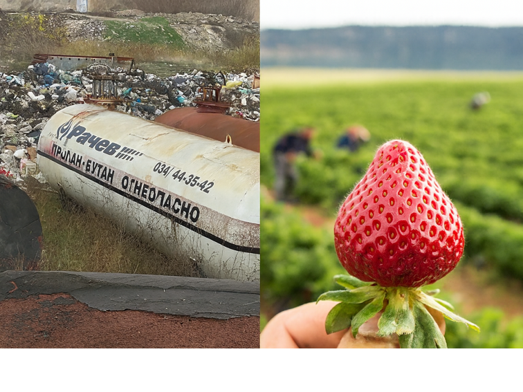 Сметища в Септември поставят под риск британски производител на разсад