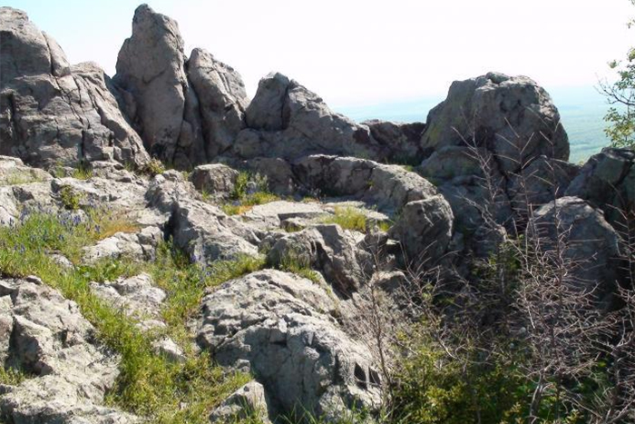 Течното злато на Хасково