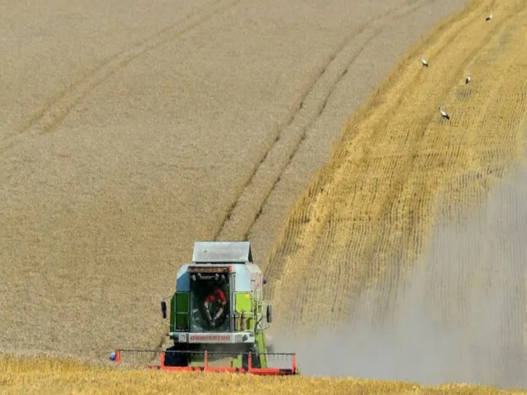 Българските зърнопроизводители излизат на протест в Брюксел