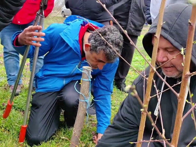 Безплатно обучение по ашладисване край Велико Търново на 7 и 8 март от Ашламинатора