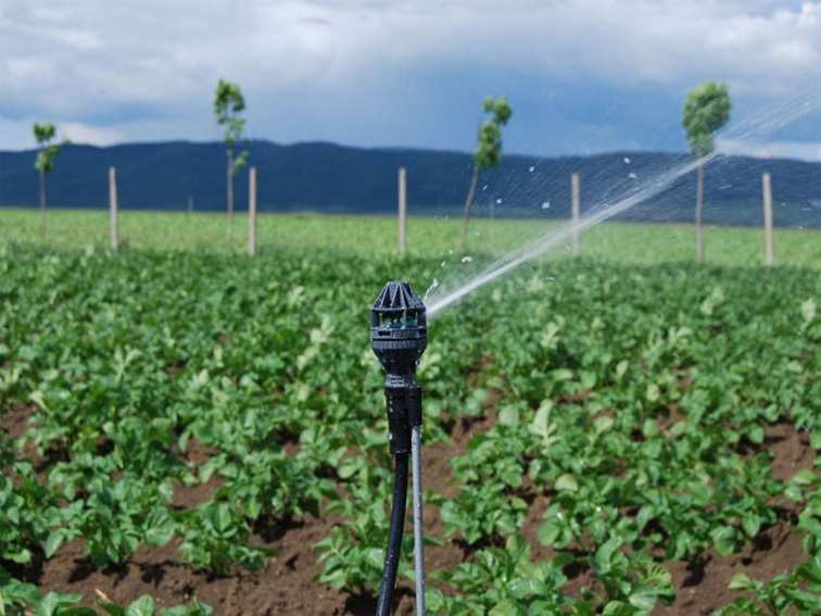 „Напоителни системи“ ЕАД стартира поливния сезон за 2026 г.