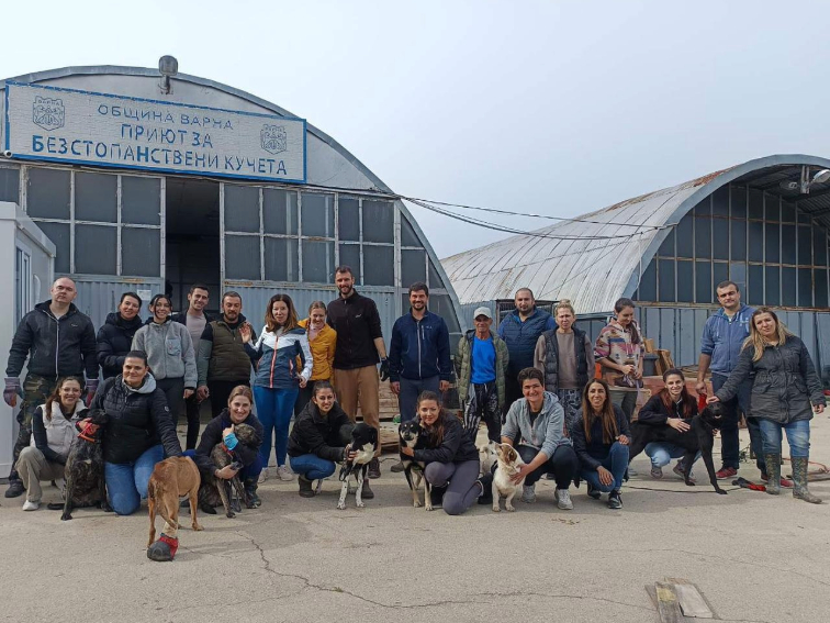 Нови дървени къщички за четириногите обитатели на приюта в с. Каменар