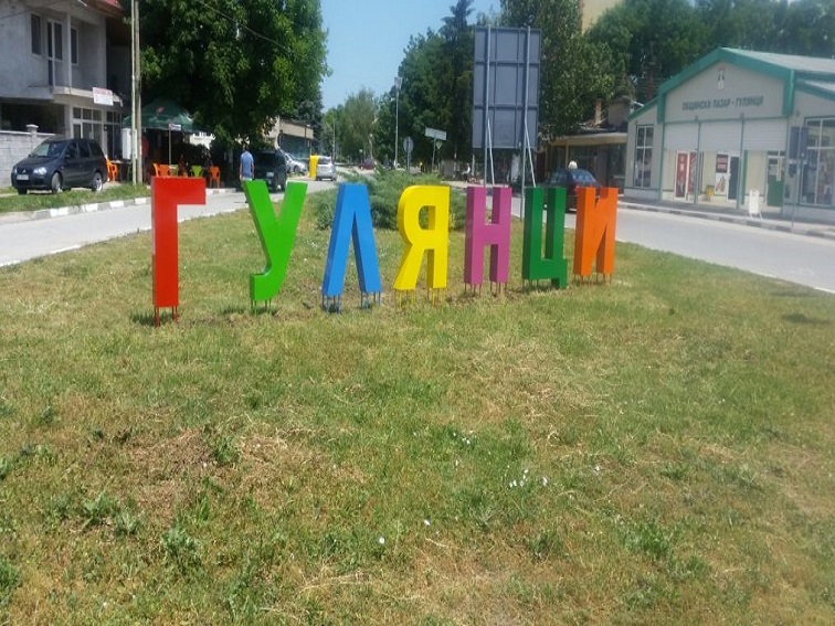 Съветниците в Гулянци ще решават за програмата срещу популацията на безстопанствените кучета