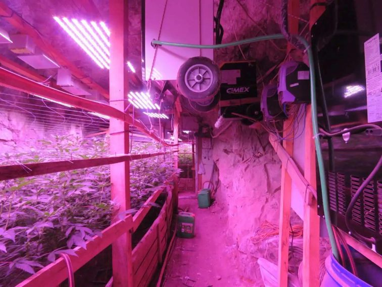 Мащабна акция разкри модерна наркооранжерия в мина край Кюстендил