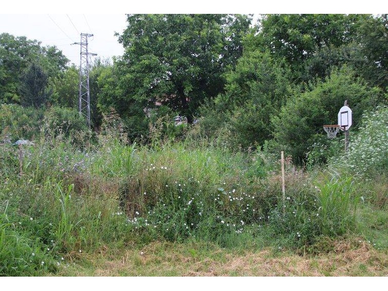 Истината за селския кмет