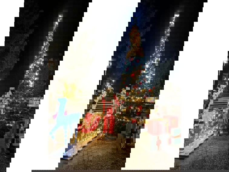 Коледно творчество и музика в Дряново през месец Декември