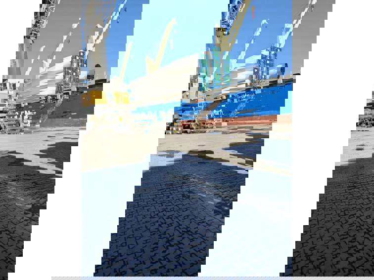 Нашата тиха Добруджа и Черно море срещу сенките на гигантите