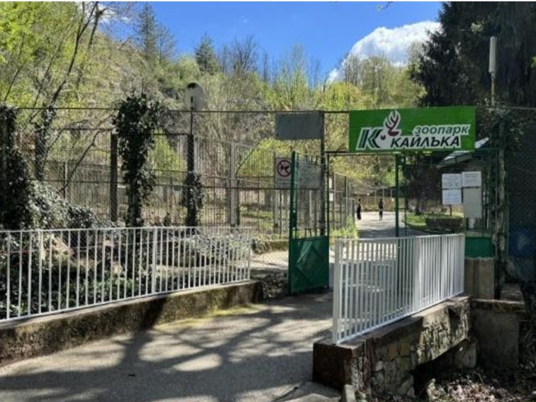 Как животните в зоопарк „Кайлъка“ в Плевен се справят с летните жеги
