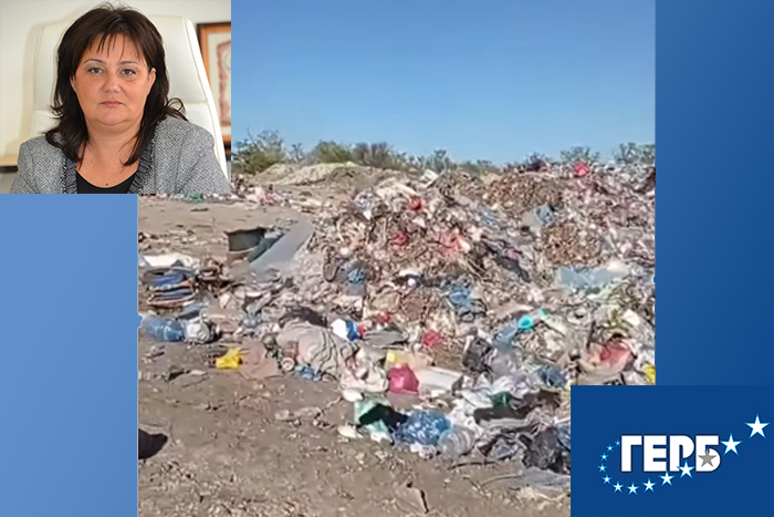 Кметицата на Ивайловград започва да чисти - ВИДЕО