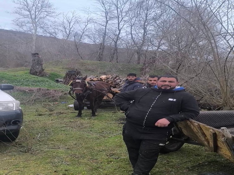 Горски служители заловиха бракониери при незаконна сеч край село Рупите