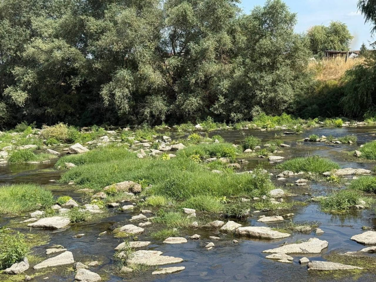 ЕКОЛОГИЧНА БОМБА НА РЕКА МАРИЦА КРАЙ ЦАЛАПИЦА