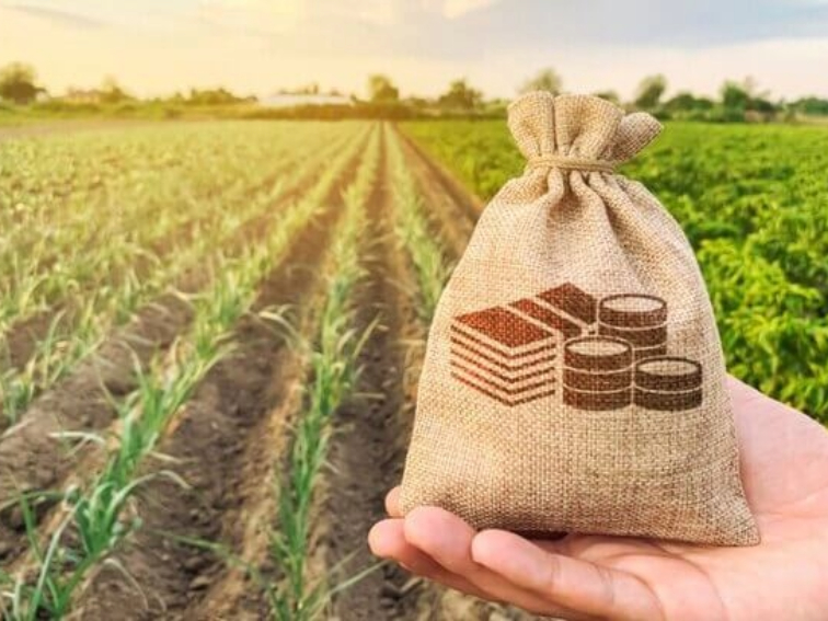 Земеделската земя – основа за развитието на икономиката и обществото