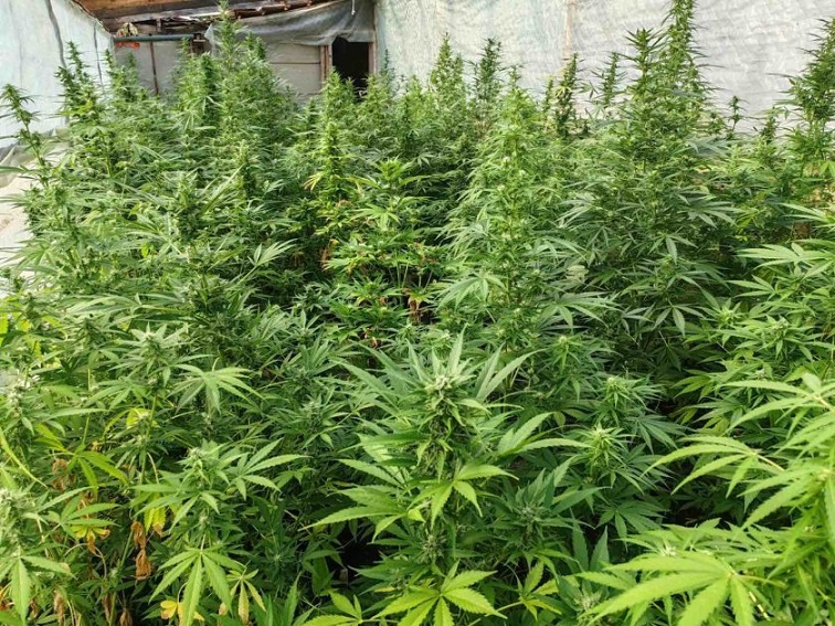 Откриха наркотици в жилище на мъж от Гоце Делчев