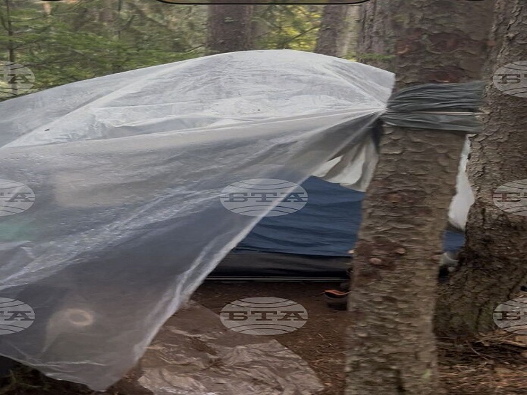 Мъж, обявен за починал, бе открит жив в Национален парк "Пирин", съобщиха от парковата дирекция