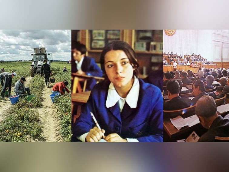 „Учи, мама, за да не работиш“ – мантрата на прехода, която уби труда и роди схемите