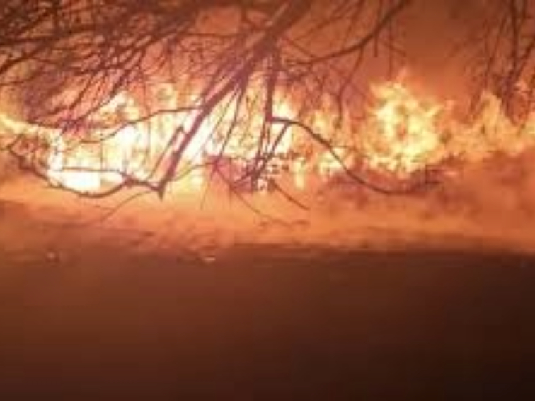 Огнен ад във „Фанагория“: местни подозират умишлен палеж с цел застрояване