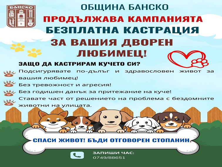 Община Банско отново стартира кампания за безплатна кастрация на кучета