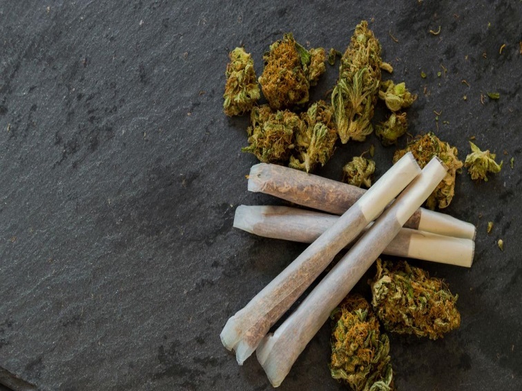 Канабис открит при проверка в жилище в Благоевград