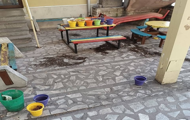Защо не пазим красивото