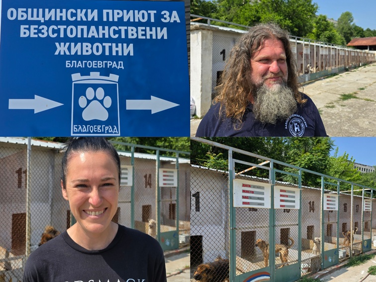 ПРИЮТЪТ В БЛАГОЕВГРАД ЗА ПРИМЕР: Над 700 обработени кучета и 200 осиновени, интервю с управителя Ирена Везенкова