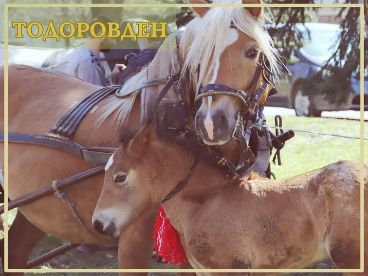 Бачево и Банско се подготвят за пъстър и традиционен Тодоровден на 28 февруари