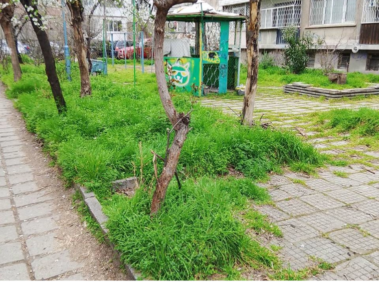 Добрината на Добромир