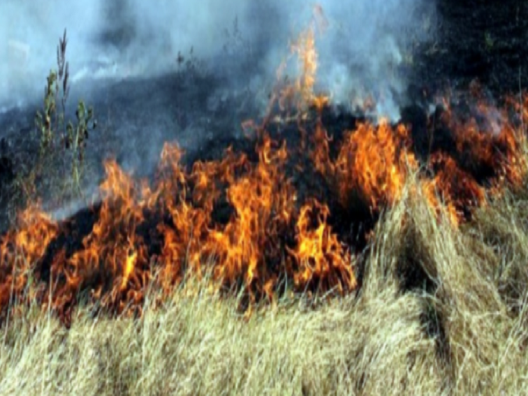 Пожари в сухи треви и растителност в Плевен и Червен бряг
