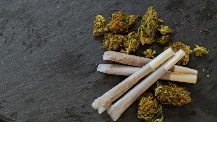 Канабис открит при проверка в жилище в Благоевград