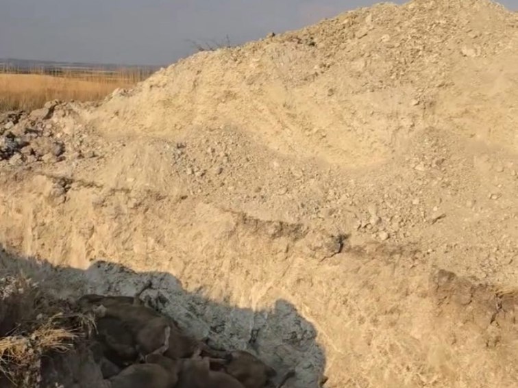 Екологична катастрофа в село Татарево