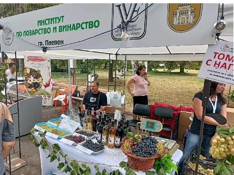 Плевен посреща „Time for Wine“ – фестивал на виното и фермерските деликатеси