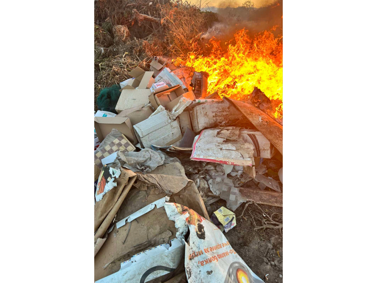 От пощата :  ''Тревогите на една майка'' навръх 8 Март