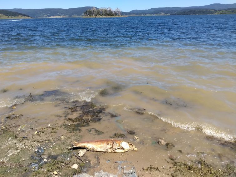 Водни проблеми в общините на Пазарджик