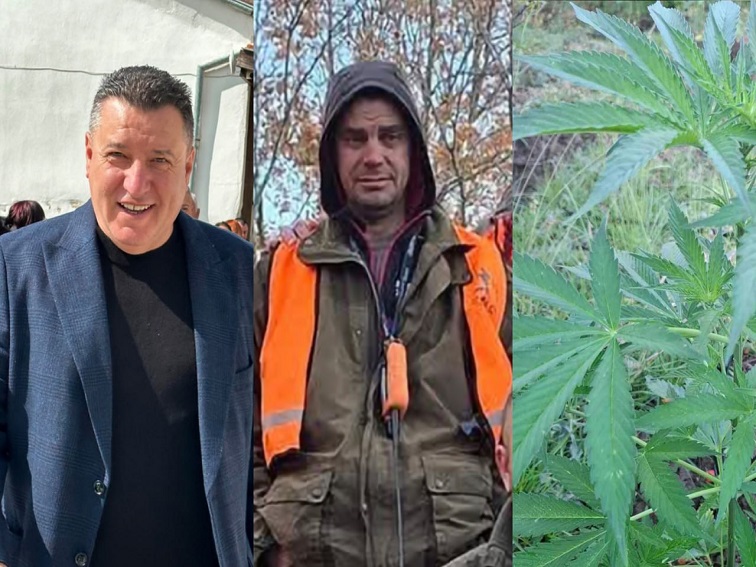 Депутат от ГЕРБ заплаши медия със съд заради скандал с канабисова нива