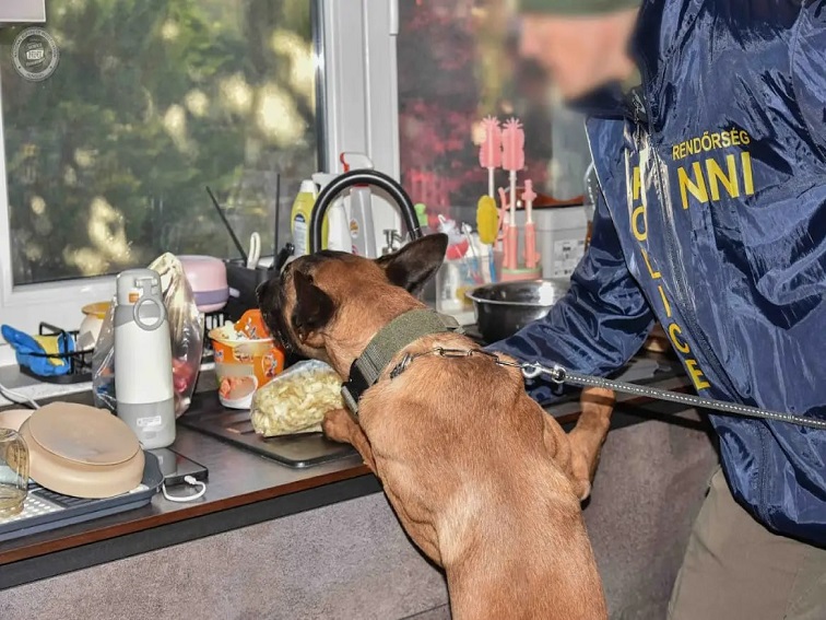 Двоен удар срещу трафика на синтетични наркотици: Европол подпомага властите от България и още няколко страни