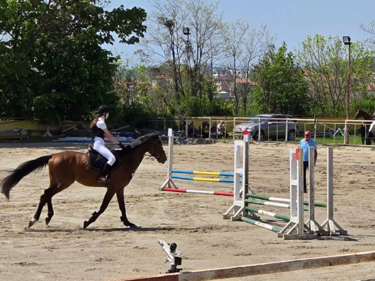 Варна планира основен ремонт на конната база във „Виница“