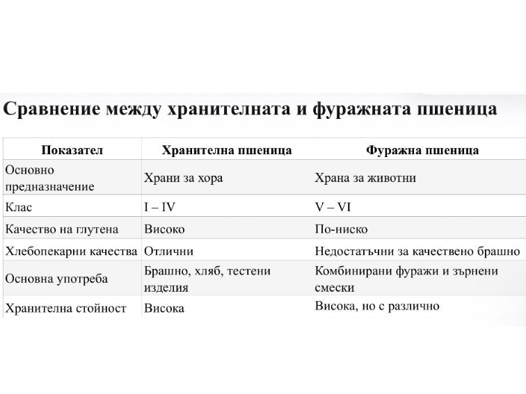 Фуражна или хранителна пшеница –хлебарите носят отговорност за избора