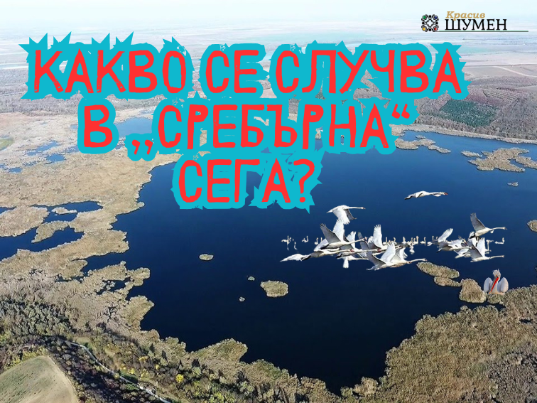 Какво се случва в резерват „Сребърна“ сега?