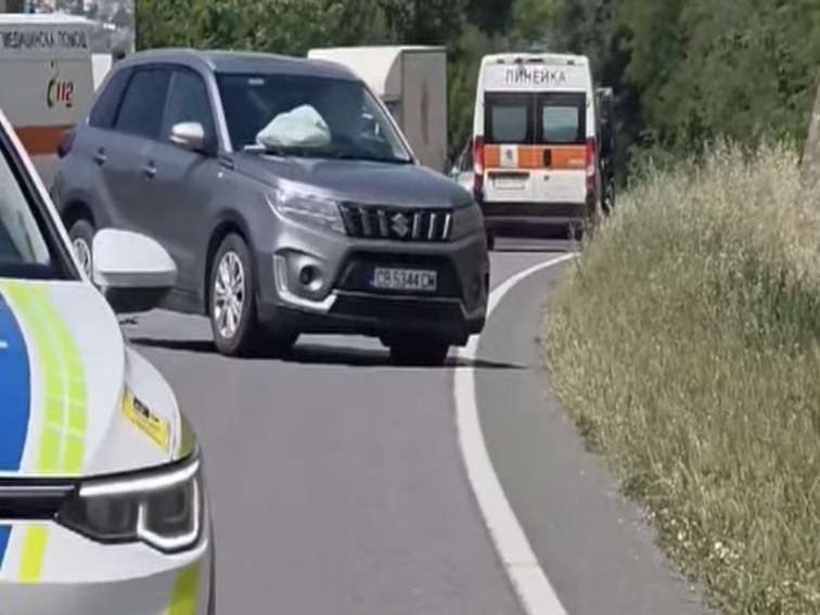 Жена загина при удар в камион на Е-79 при Черниче