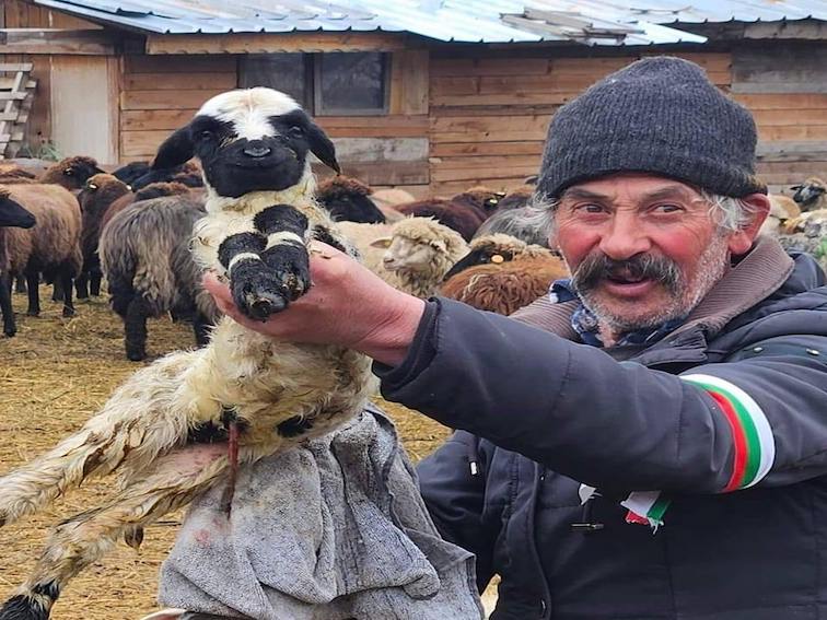 За какво служи БАБХ (Българска агенция по безопасност на храните)?
